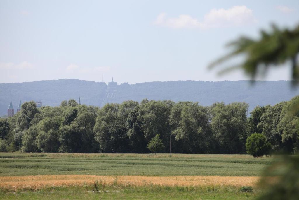 Art City Studio Kassel 5 아파트 외부 사진
